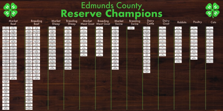 Edmunds County 4H Reserve Champions 8x4